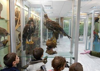 Στο Μουσείο Φυσικής Ιστορίας οι Παιδικοί Σταθμοί
