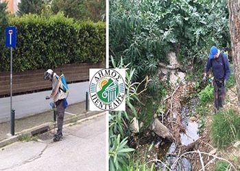 2ος Κύκλος Ψεκασμών σε Ρέματα και Φρεάτια