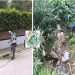 2ος Κύκλος Ψεκασμών σε Ρέματα και Φρεάτια