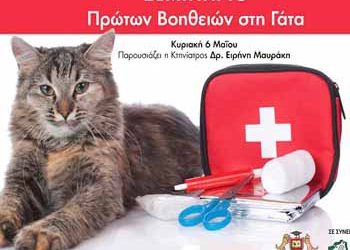 Σεμινάριο πρώτων βοηθειών για γάτες από το Ελληνικό Ινστιτούτο Εκπαίδευσης και Συμπεριφοράς Σκύλου και Γάτας