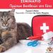 Σεμινάριο πρώτων βοηθειών για γάτες από το Ελληνικό Ινστιτούτο Εκπαίδευσης και Συμπεριφοράς Σκύλου και Γάτας