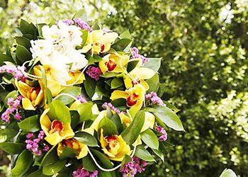 64η Ανθοκομική Έκθεση: Μια γιορτή … φέρνει την άνοιξη