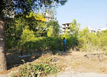 Συνδέοντας τις πόλεις με πράσινα μονοπάτια