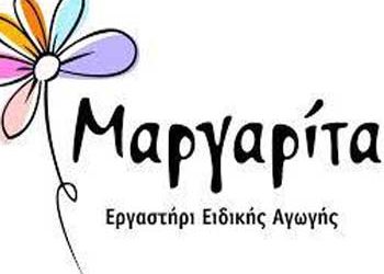 Με μεγάλη επιτυχία ολοκληρώθηκε η JOB SHADOW DAY