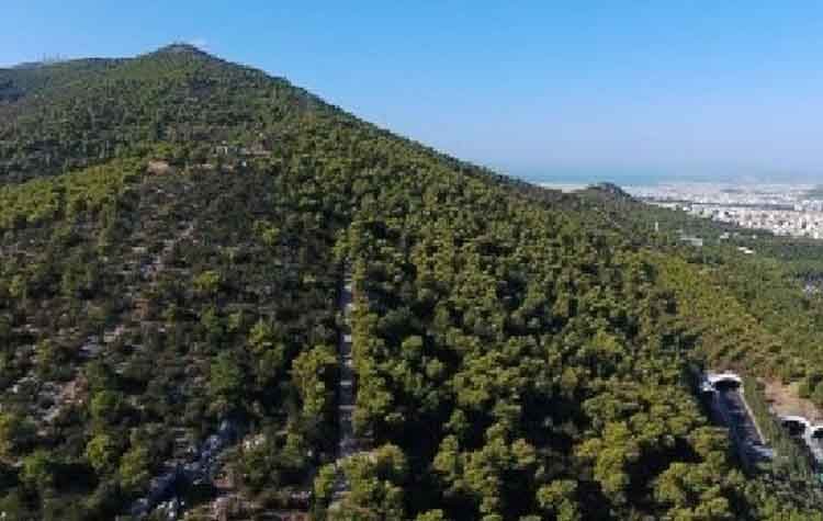 Οδηγίες για την προστασία του Υμηττού από πυρκαγιές