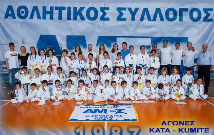 Εσωτερικό Πρωτάθλημα καράτε από την ΑΜΕΣ Νέας Ερυθραίας