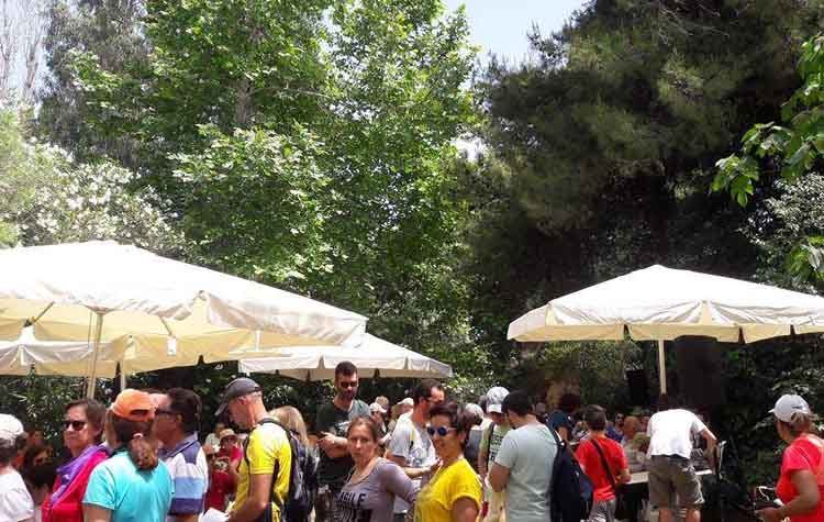 Με μαζική συμμετοχή πραγματοποιήθηκε η 3η Διάσχιση της Ρεματιάς Πεντέλης-Χαλανδρίου