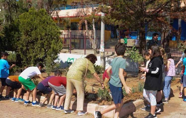 Συνεχίζονται οι προφεστιβαλικές περιβαλλοντικές δράσεις