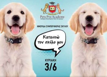 Ημερίδα Συμπεριφοράς: Κατανοώ τον Σκύλο μου