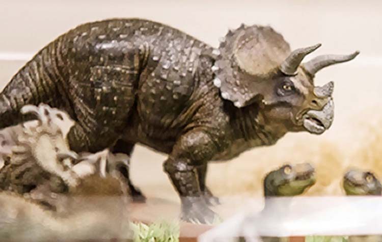 Διεθνής Ημέρα Μουσείων 2018 στο Μουσείο Γουλανδρή Φυσικής Ιστορίας