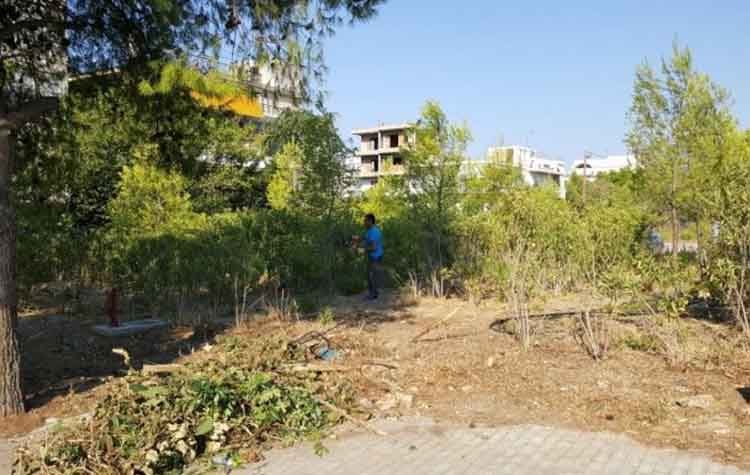 Το Ηράκλειο ανοίγει την συζήτηση για τις «Πράσινες Διαδρομές» στους Δήμους