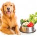 Φρούτα και λαχανικά για τον σκύλο σας