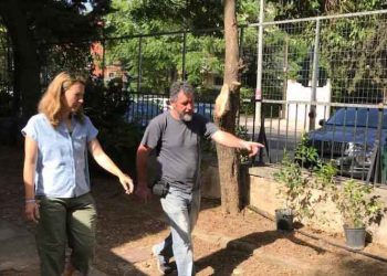 Ο Δήμος Κηφισιάς πρασινίζει και ομορφαίνει τα προαύλια των σχολείων