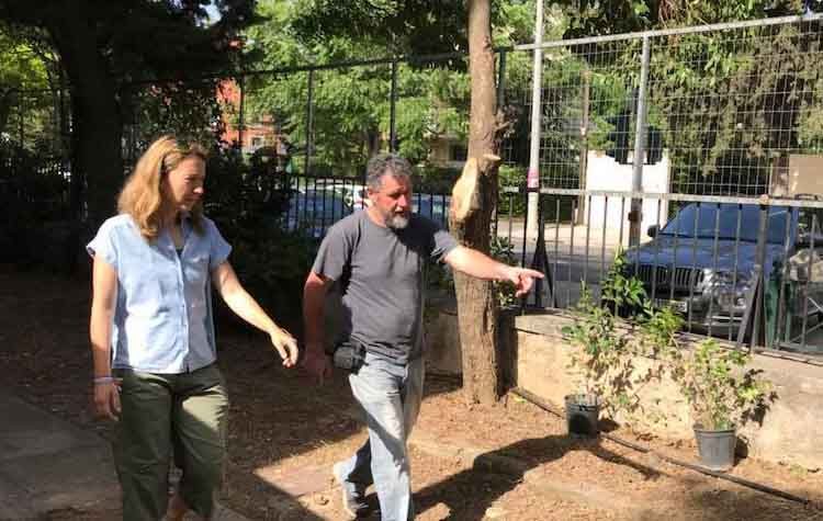 Ο Δήμος Κηφισιάς πρασινίζει και ομορφαίνει τα προαύλια των σχολείων