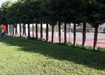 Νέα εφαρμογή καταπολέμησης των κουνουπιών