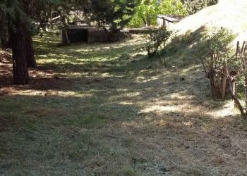 Εποχικές παρεμβάσεις πυρασφάλειας και απολυμάνσεις