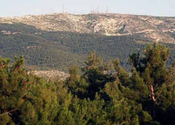 14 προσλήψεις για την πυροπροστασία του Υμηττού