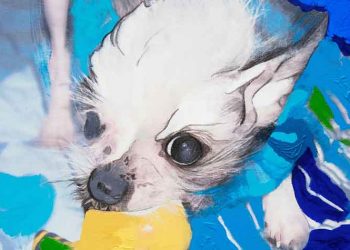 Έκθεση με θέμα «Κάλαϊς» στην Dépôt Art Gallery