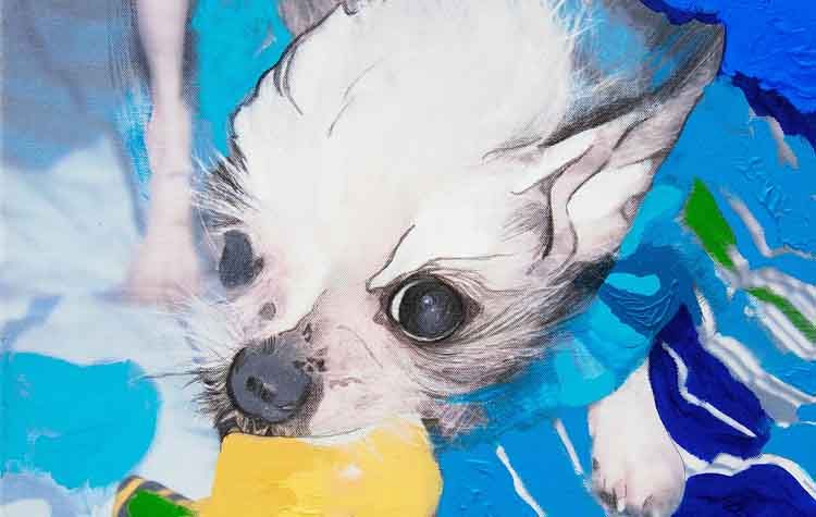 Έκθεση με θέμα «Κάλαϊς» στην Dépôt Art Gallery