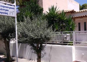 Ο κτηνίατρος των φιλόζωων