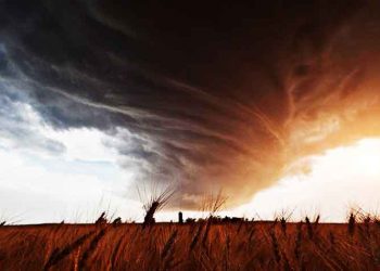 Αστείο παραμύθι για μικρούς & μεγάλους