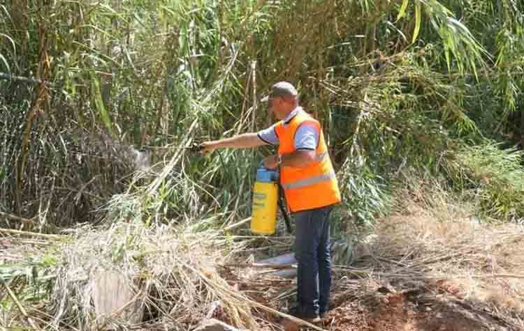 Ψεκασμοί κατά των κουνουπιών στις 22 Ιουνίου