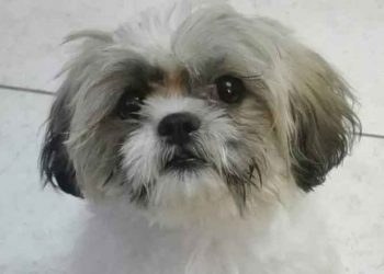 Μήπως τον γνωρίζετε;