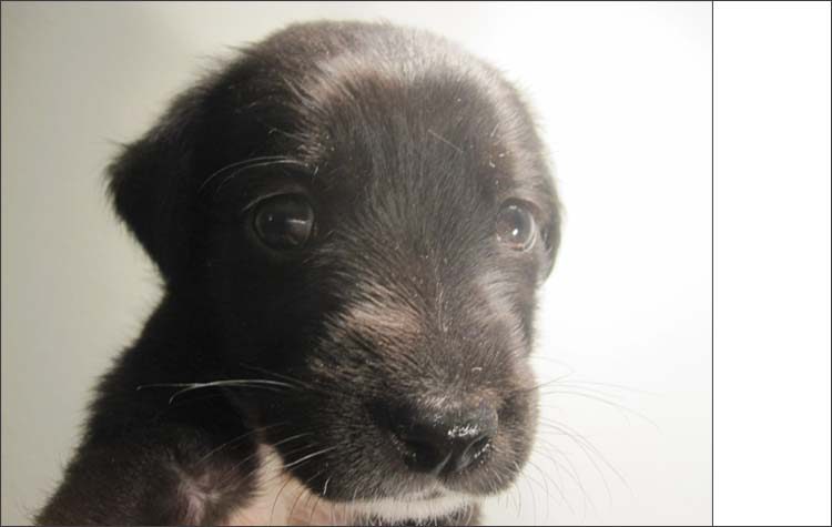 «Περιμένουμε την παρέα, την αγκαλιά και τη φροντίδα σας…»