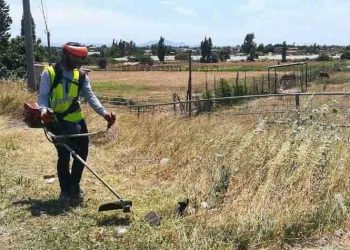 Ολοκληρώθηκαν οι καθαρισμοί και οι αποψιλώσεις από τον ΣΠΑΠ