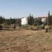 Ο ΣΠΑΠ καθάρισε και αποψίλωσε το κτήμα Καρέλλα
