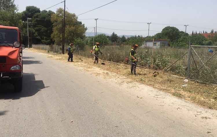 Καθαρισμοί και αποψιλώσεις στο δήμο  Ραφήνας-Πικερμίου από τον ΣΠΑΠ