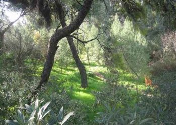 Έκτακτη γενική συνέλευση του Συλλόγου Προστασίας Περιβάλλοντος και Ρεματιάς