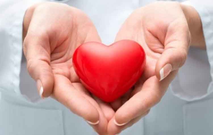 6χρονη Δότρια Οργάνων χαρίζει ζωή σε 4 παιδιά