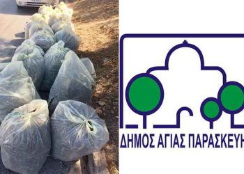 Συνέχεια στους καθαρισμούς πάρκων και δρόμων