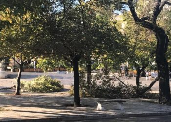 Ανακοίνωση του Δήμου για τους ισχυρούς ανέμους