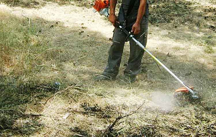 Επιχείρηση «Αποψίλωση» για την πυροπροστασία