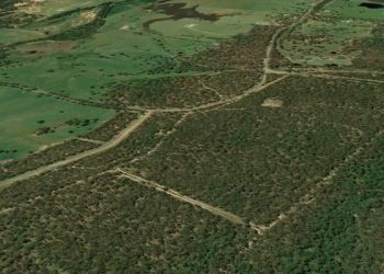 ΟΠΕΚΕΠΕ: Έως το 2020 οι δηλώσεις τεμαχίων που εμπλέκονται με δασικούς χάρτες