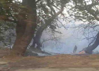 Σε 24ωρη επιφυλακή η Πολιτική Προστασία του Δήμου