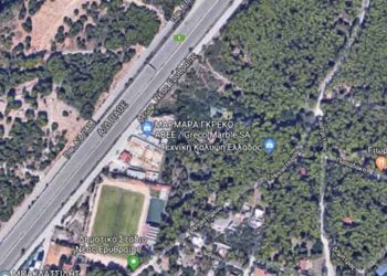 FitPik στο δάσος Φασίδερη