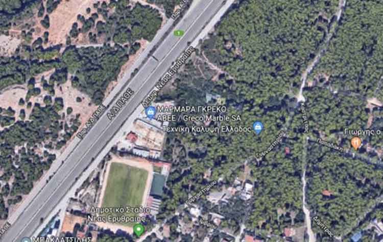 FitPik στο δάσος Φασίδερη