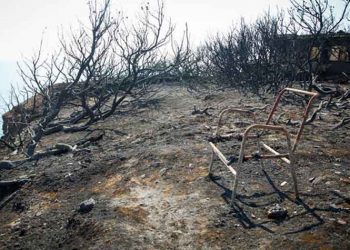 Ιατρικός Σύλλογος Αθηνών: Κίνδυνος για τη δημόσια υγεία μετά την πυρκαγιά στο Μάτι