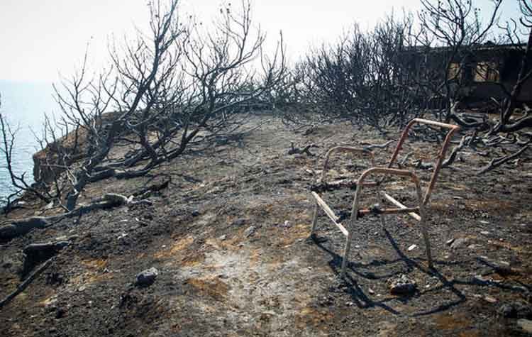 Ιατρικός Σύλλογος Αθηνών: Κίνδυνος για τη δημόσια υγεία μετά την πυρκαγιά στο Μάτι
