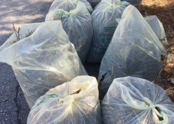 Σε πλήρη εξέλιξη οι καθαρισμοί χώρων και οικοπέδων