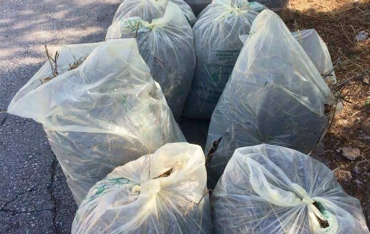 Σε πλήρη εξέλιξη οι καθαρισμοί χώρων και οικοπέδων