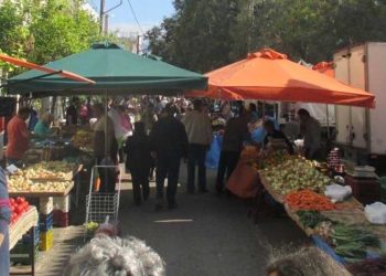 Για πρώτη φορά χωριστή συλλογή οργανικού υλικού