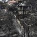Ξεκίνησε η υποβολή αιτήσεων για την έκτακτη οικονομική ενίσχυση των πυρόπληκτων