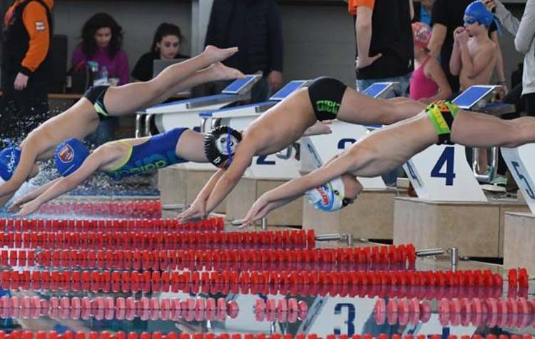 Ο Παναγιώτης Βελέντζας στο Νηρέα Χαλανδρίου