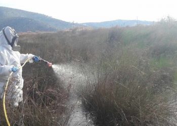 Συνεχίζονται οι ψεκασμοί για κουνούπια σε ανοικτά ρέματα
