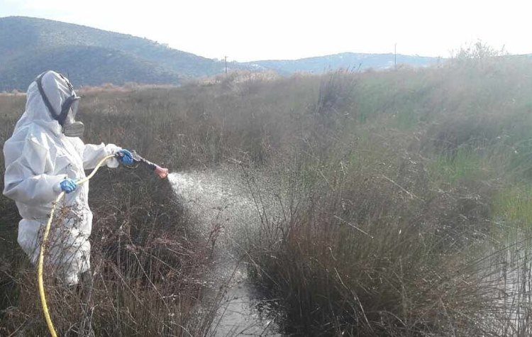 Συνεχίζονται οι ψεκασμοί για κουνούπια σε ανοικτά ρέματα