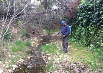 Έξι γύροι ψεκασμών σε ρέματα της βόρειας Αθήνας από την Περιφέρεια